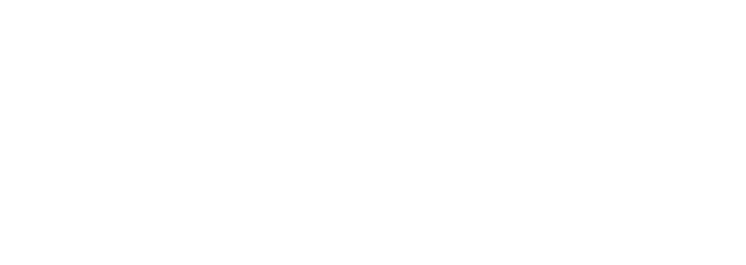 logo-trevisan