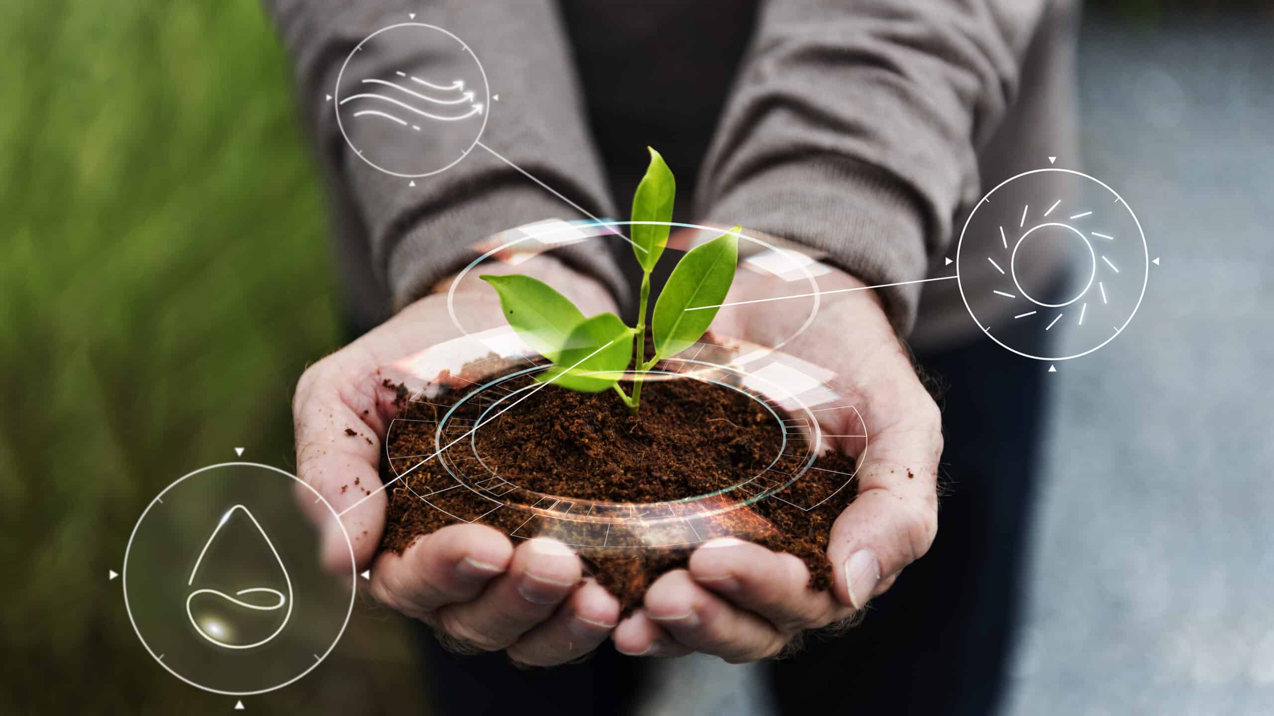 Mãos segurando muda de planta com ícones digitais, representando gestão de sustentabilidade e uso de tecnologias verdes.